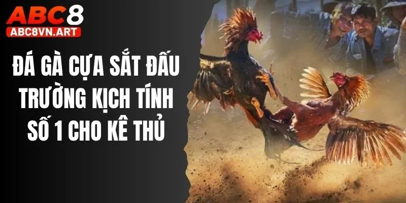 Đá Gà Cựa Sắt Đấu Trường Kịch Tính Số 1 Cho Kê Thủ
