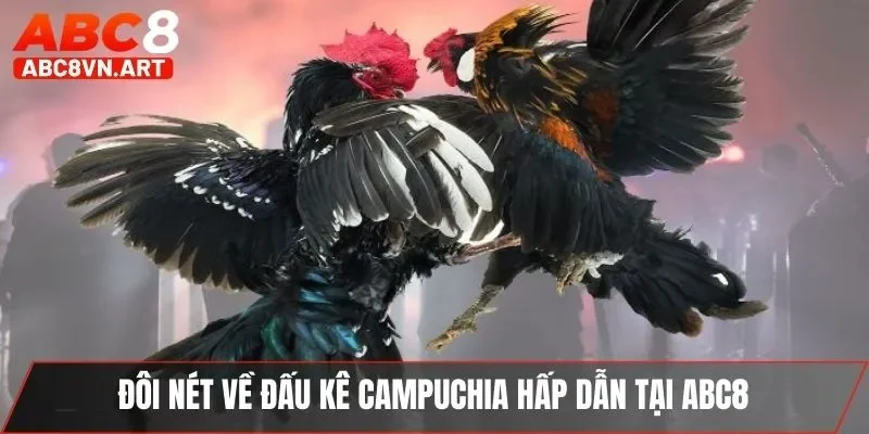 Đôi nét về đấu kê Campuchia hấp dẫn tại ABC8