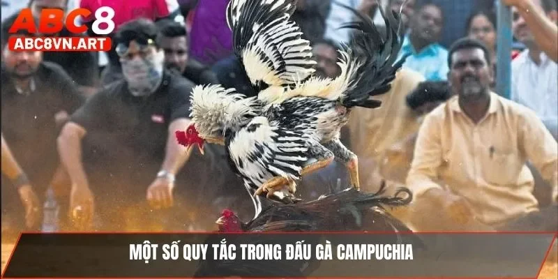 Một số quy tắc trong đấu gà Campuchia