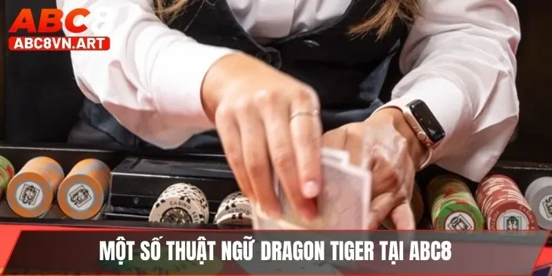 Một số thuật ngữ Dragon Tiger tại ABC8 Một số thuật ngữ Dragon Tiger tại ABC8