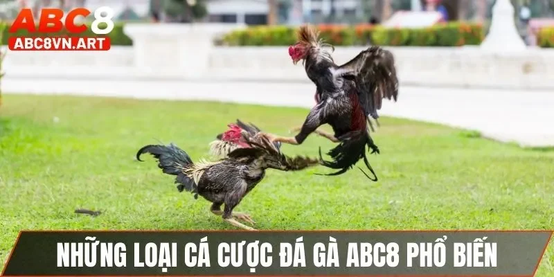 Những loại cá cược đá gà ABC8 phổ biến Những loại cá cược đá gà ABC8 phổ biến