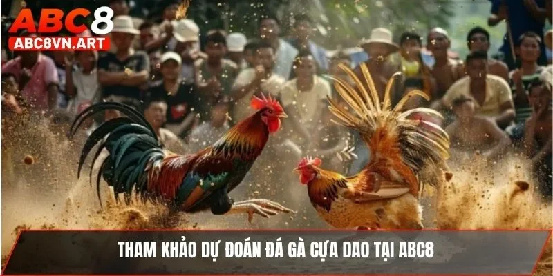 Tham khảo dự đoán đá gà cựa dao tại ABC8