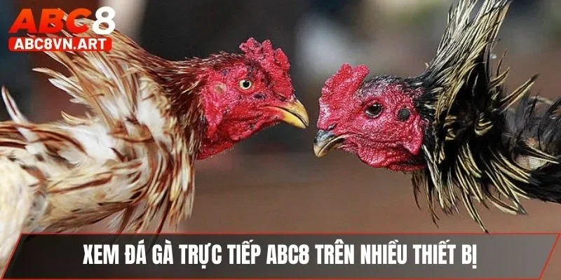 Xem đá gà trực tiếp ABC8 trên nhiều thiết bị Xem đá gà trực tiếp ABC8 trên nhiều thiết bị